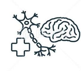 Central Nervous System 
(CNS)/Neurology