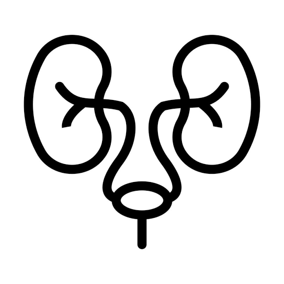 Urology